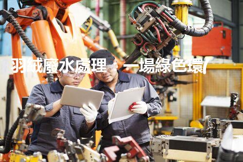 羽絨廢水處理：一場綠色環(huán)保的羽毛盛宴？